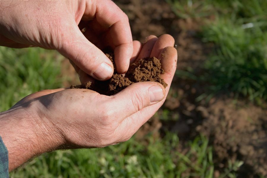 Засяване на семена в градината - Структура на почвата