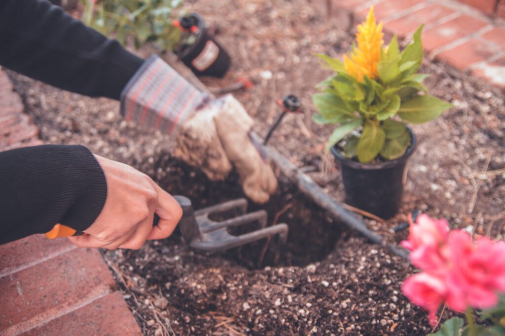 Градински инструменти - кои са 6-те най-важни пособия за градината